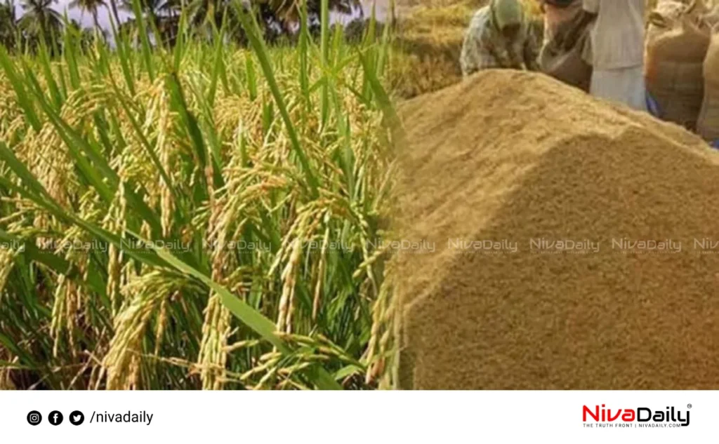 paddy procurement