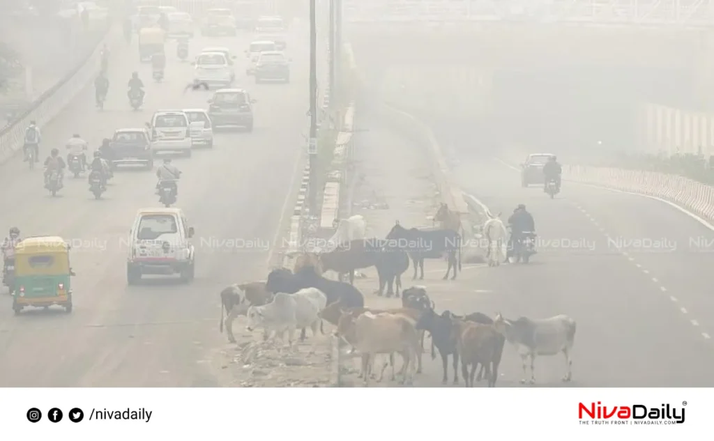 Delhi air quality