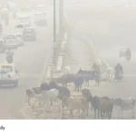 Delhi air quality