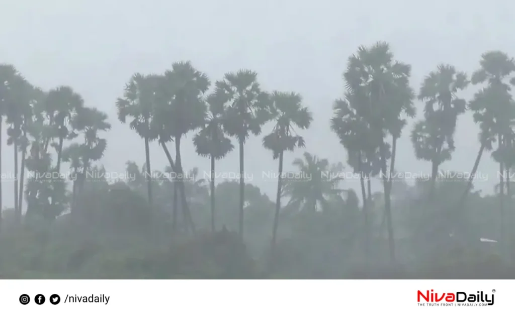 Ditwah Cyclone update