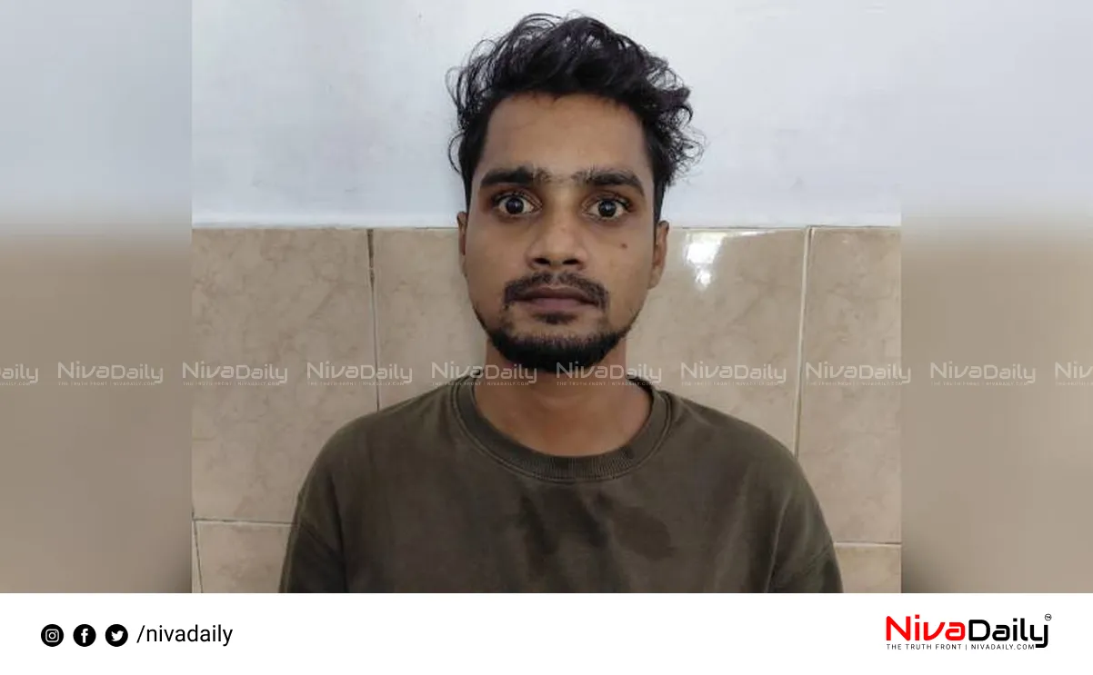 cannabis hash oil arrest