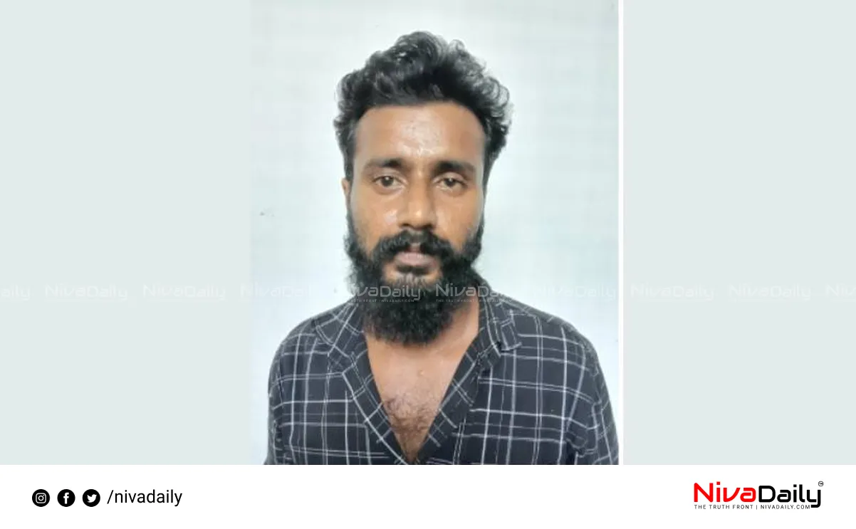 Mobile phone theft case