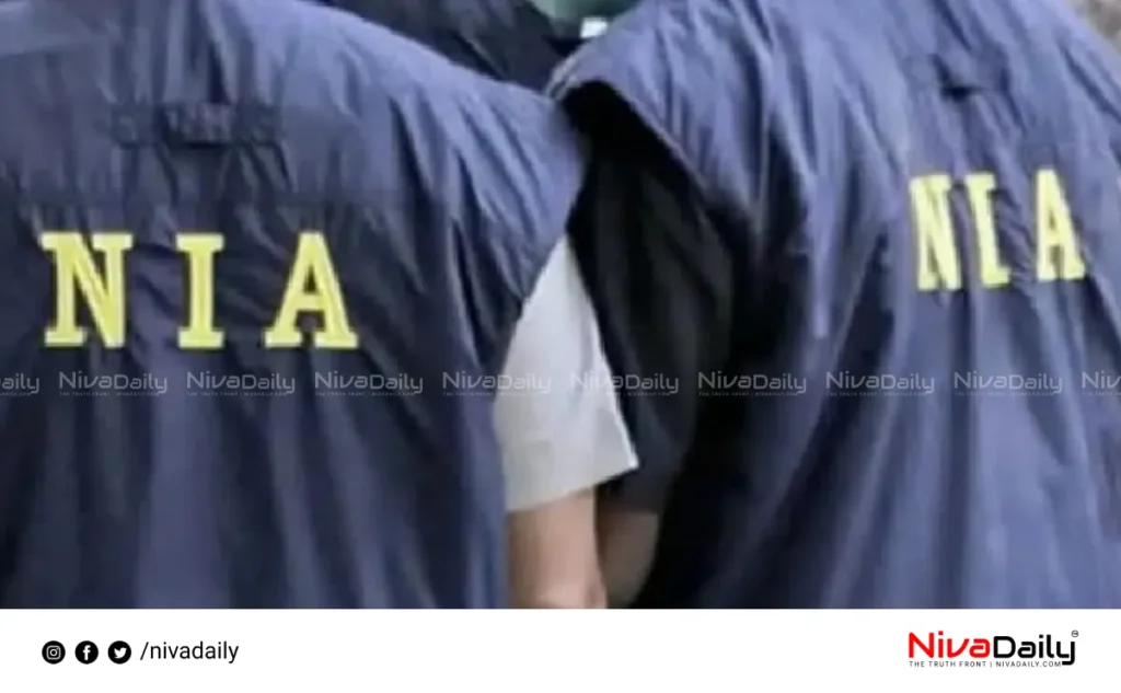 NIA reinvestigation case