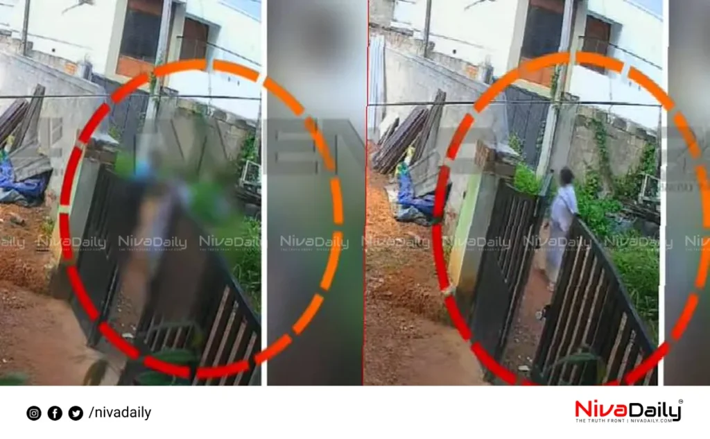 elderly woman beaten