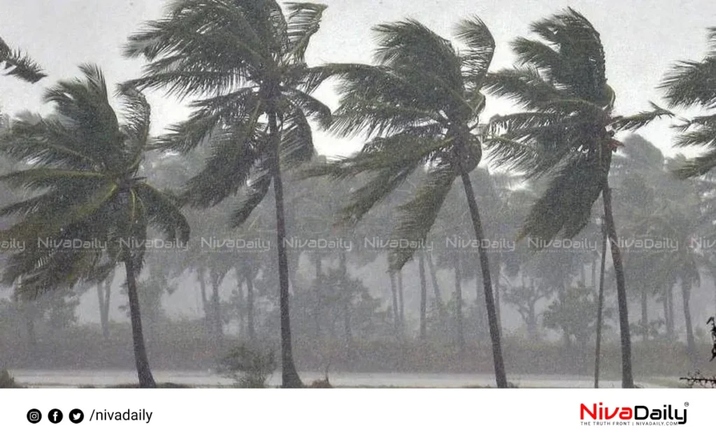 Kerala monsoon rainfall