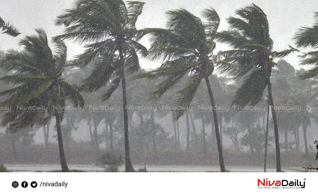 Kerala monsoon rainfall