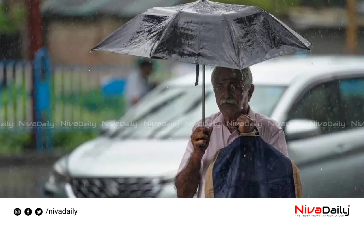 Kerala monsoon rainfall