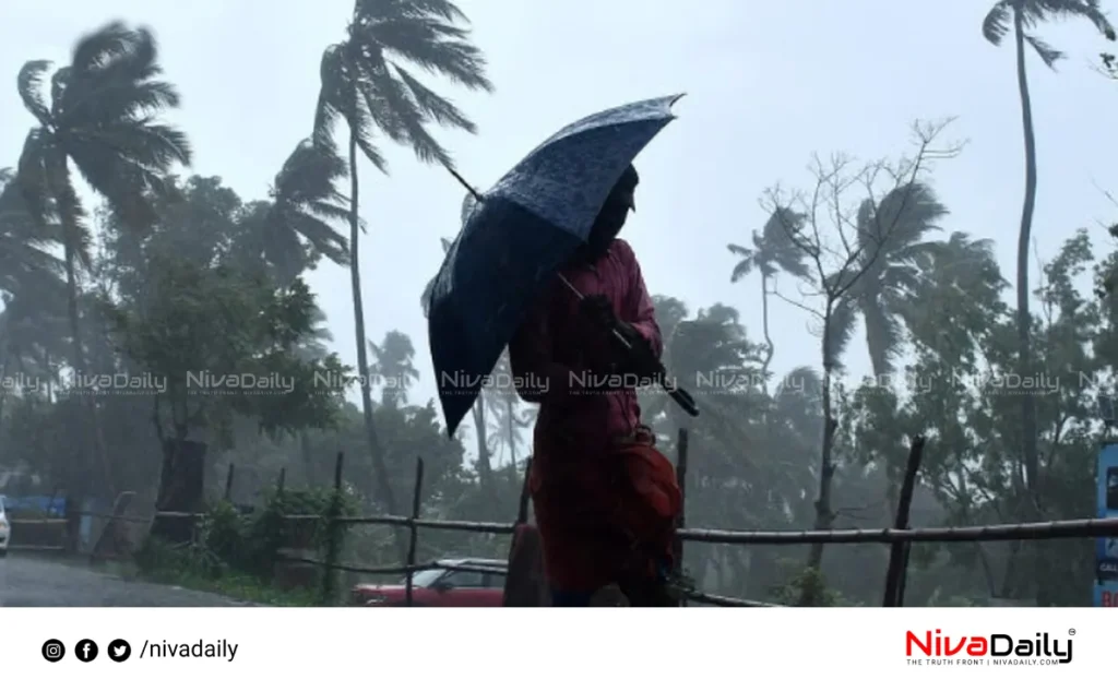 Kerala monsoon rainfall