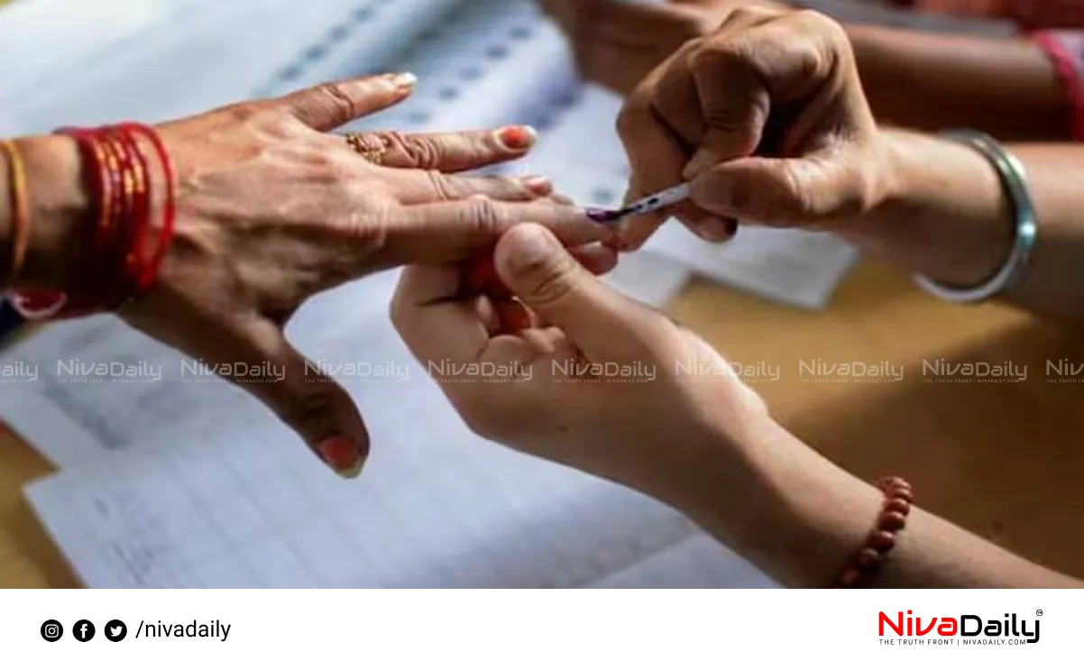 local body elections