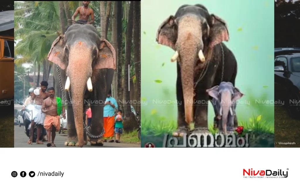 Mavelikkara Ganapathi elephant