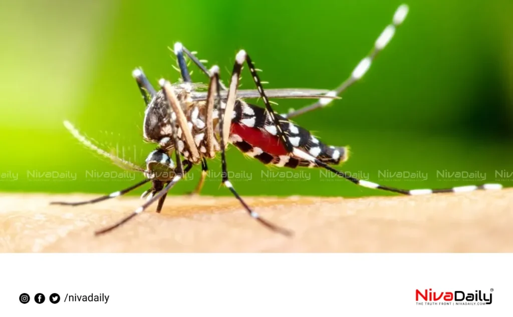 Kerala monsoon deaths