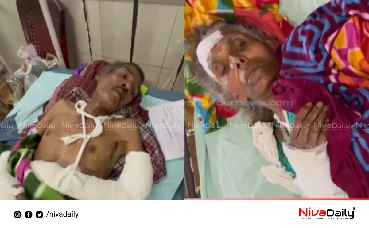 Wayanad couple attacked