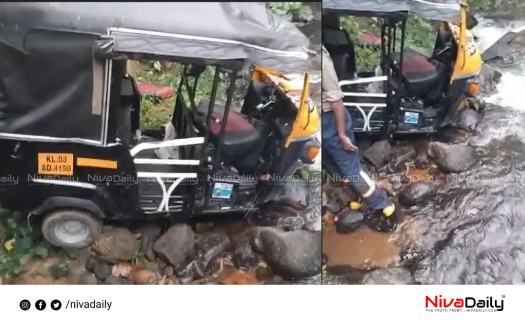 Pathanamthitta auto accident