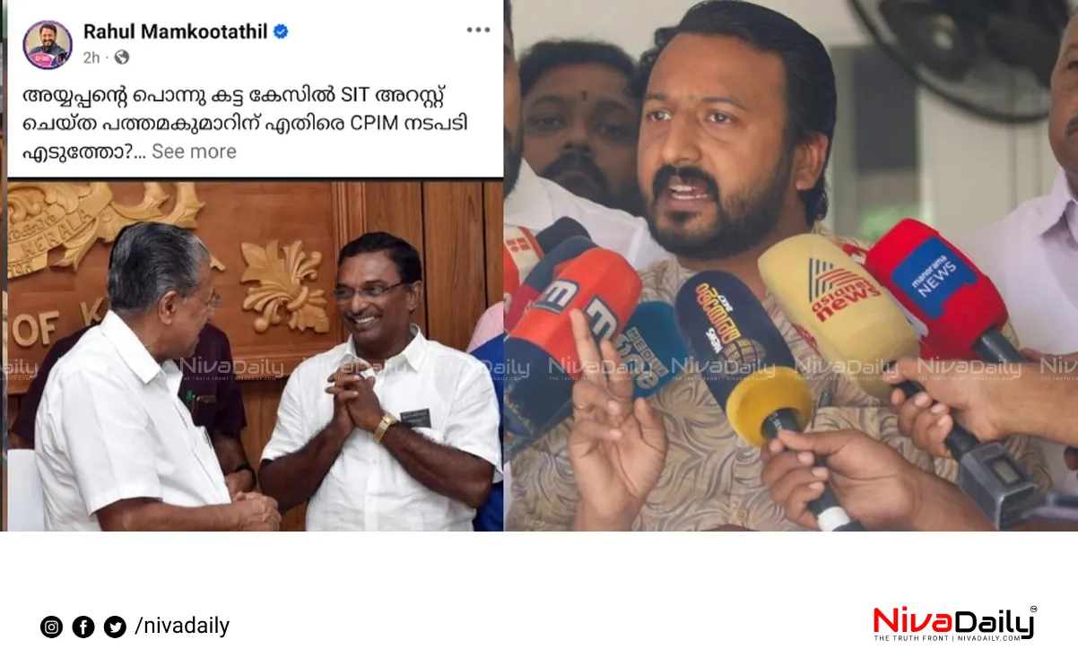 Sabarimala gold theft