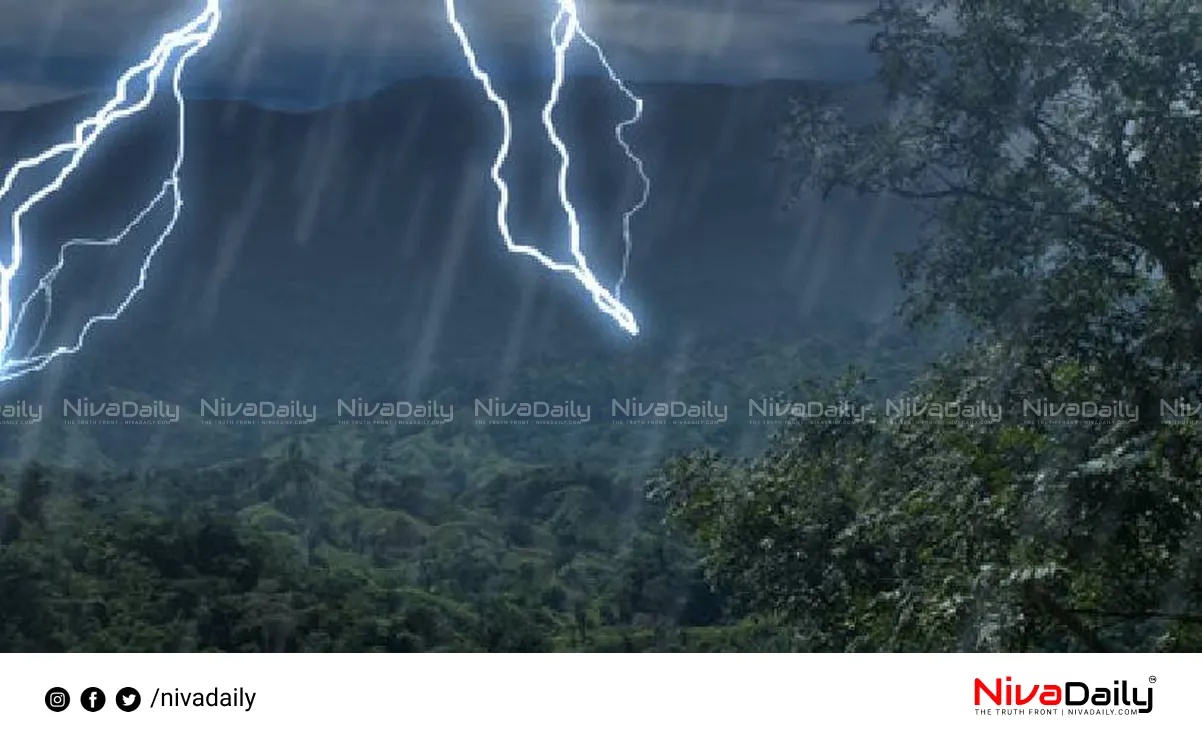 Kerala monsoon rainfall