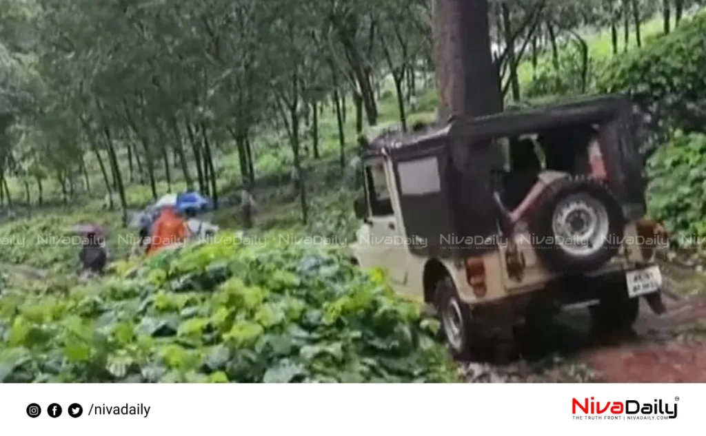 vehicle rent suspended