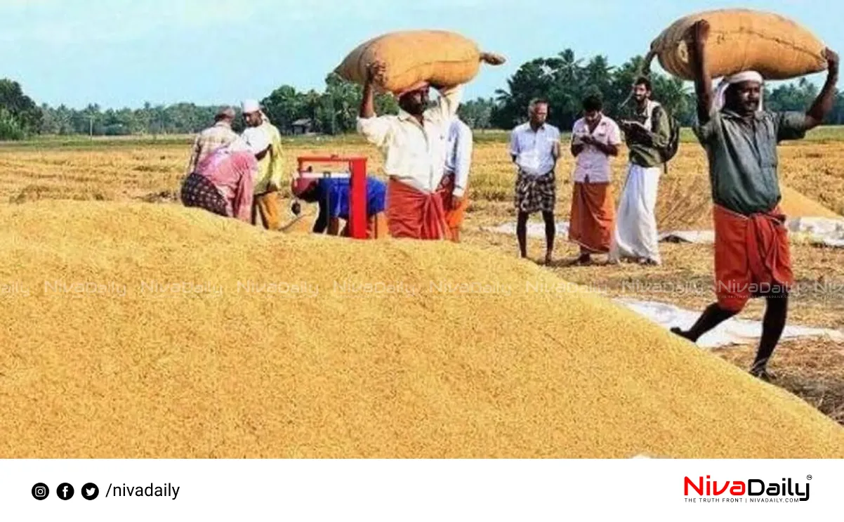paddy procurement crisis