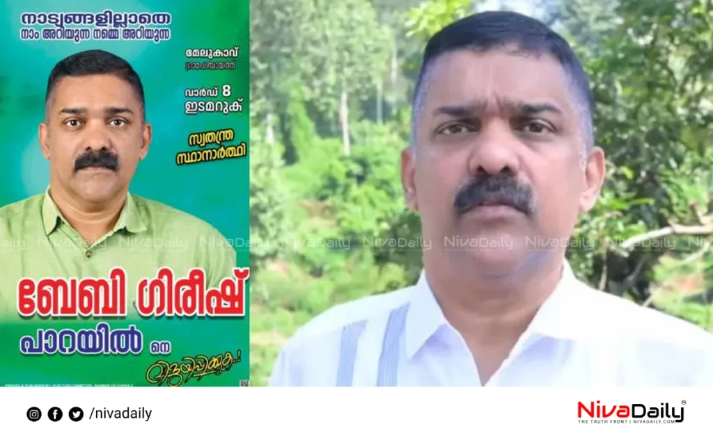 local body elections