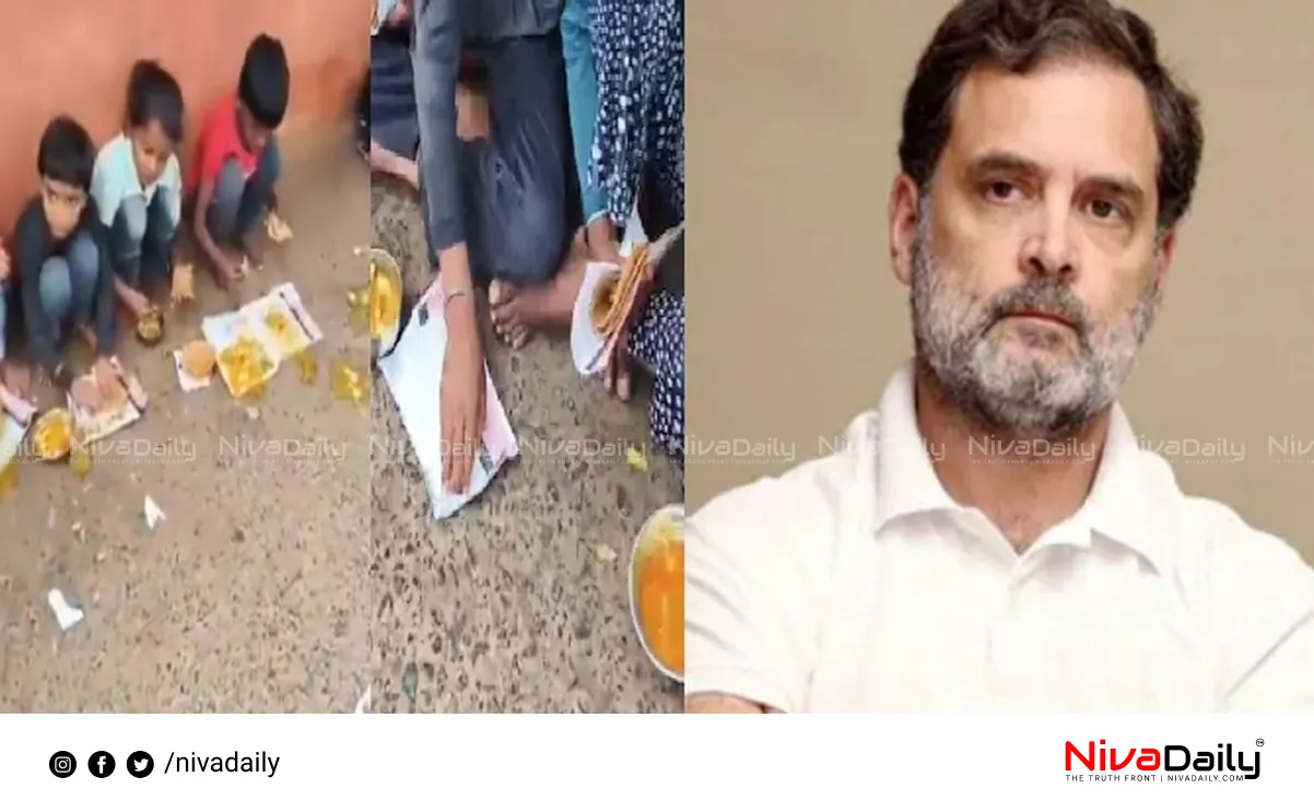 school lunch program