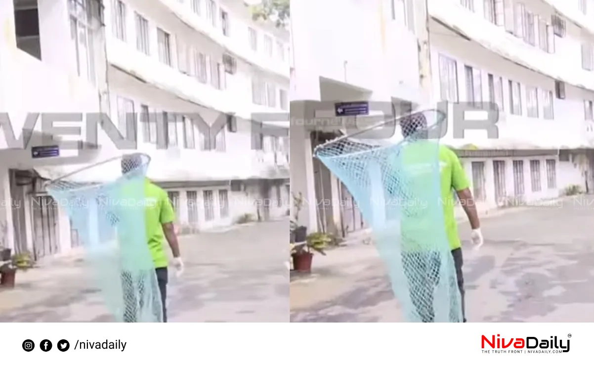 stray dogs Thiruvananthapuram