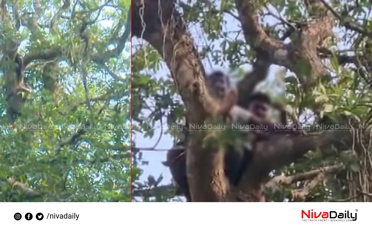 Nilambur tribal protest
