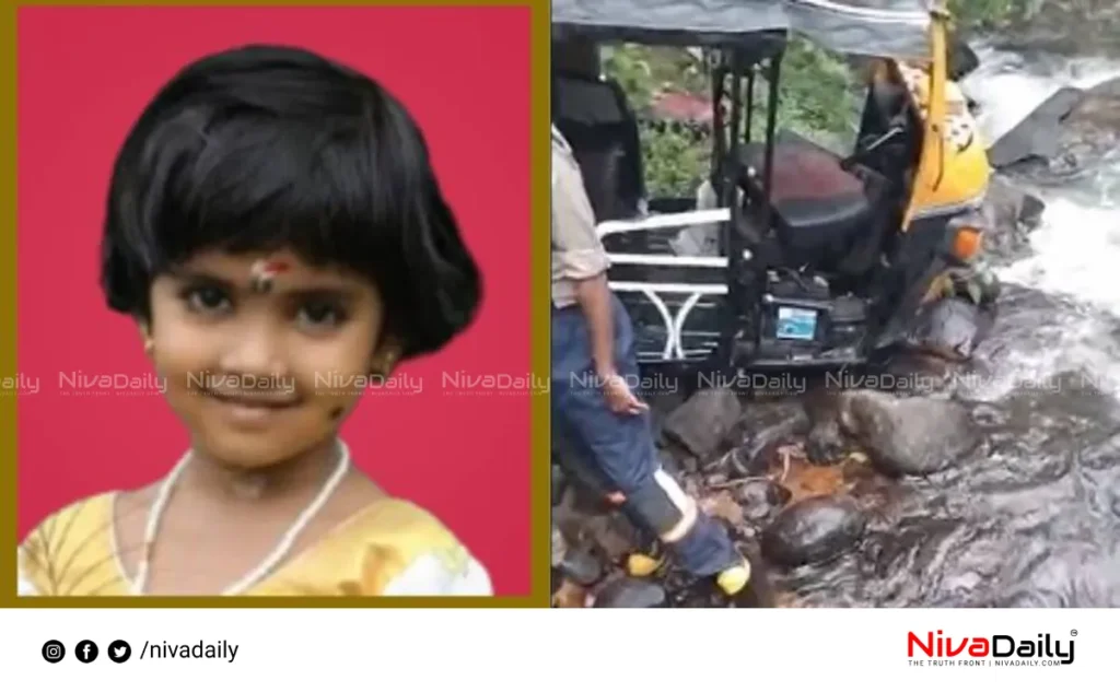 Pathanamthitta auto accident