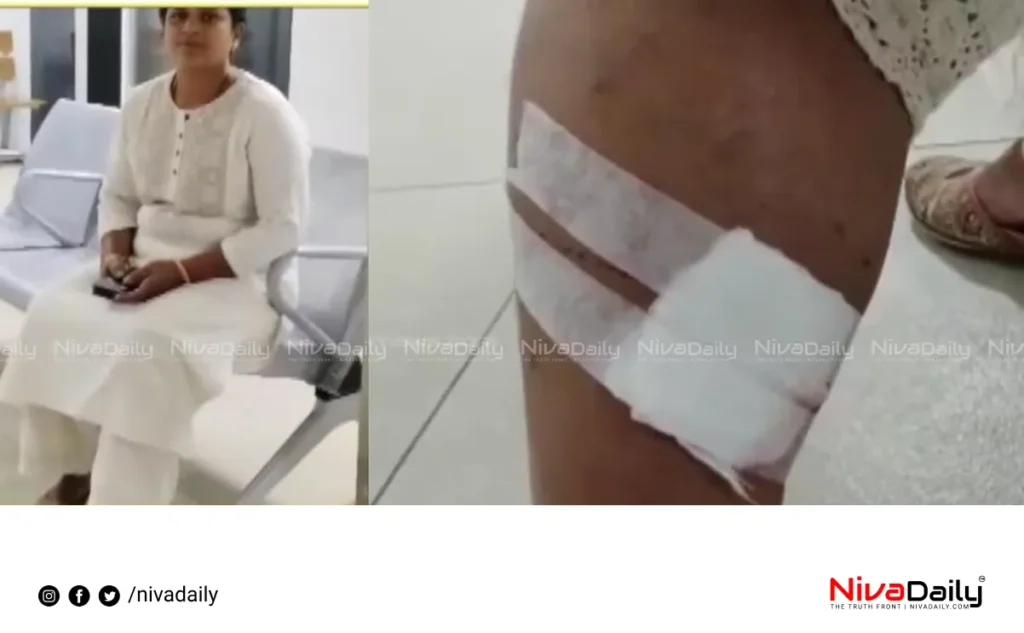 election campaign dog bite