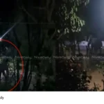 Wild elephant attack