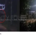 Wild elephant Thrissur