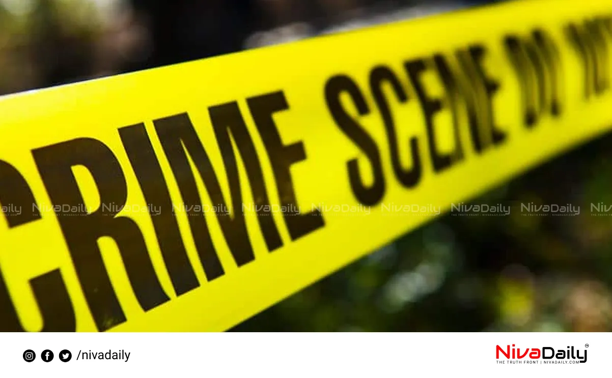 elderly woman attacked