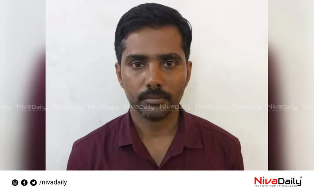 Nedumbassery murder case