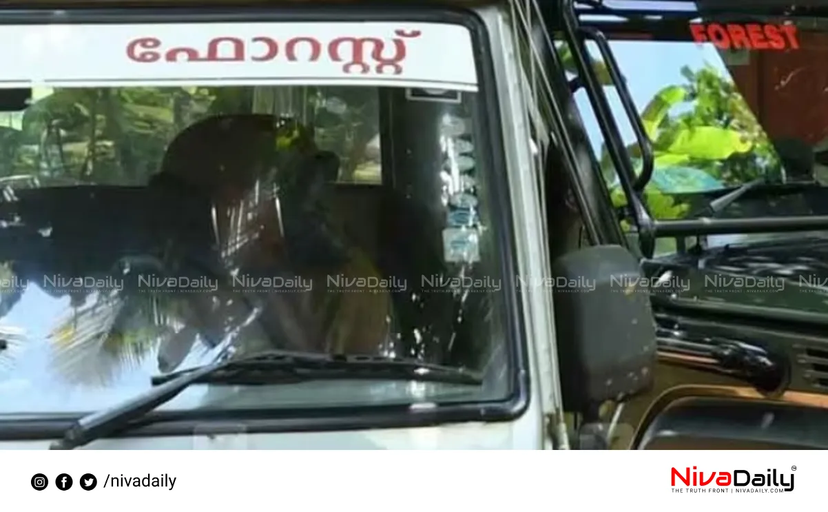 Attappadi tiger census