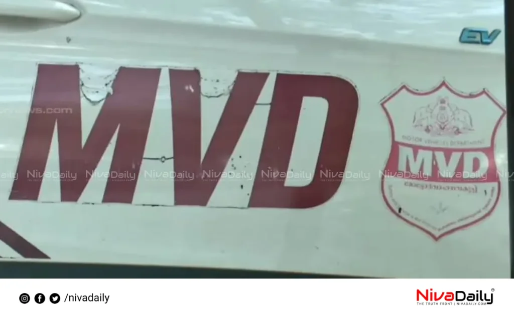 International Driving Permit