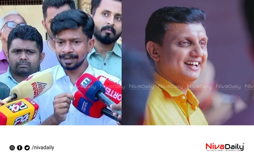 road collapse criticism