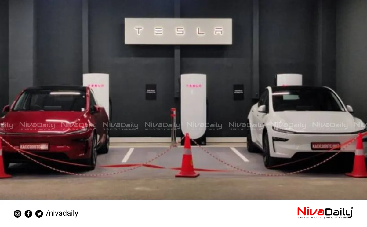 Tesla sales in India